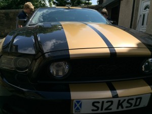 quality repair to graphics on a much loved mustang.